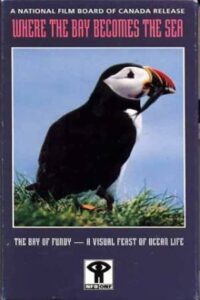 Where the Bay Becomes the Sea 1985 one on netflix