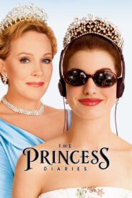 The Princess Diaries 2001 one on netflix