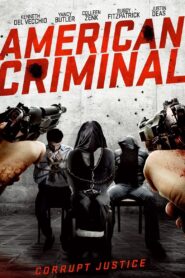 American Criminal 2019 one on netflix