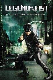 Legend of the Fist: The Return of Chen Zhen 2010 one on netflix