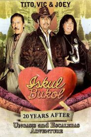 Iskul Bukol 20 Years After (Ungasis and Escaleras Adventure) 2008 one on netflix