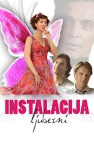 Installation of Love 2007 one on netflix