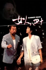 Summer Snow 1995 one on netflix