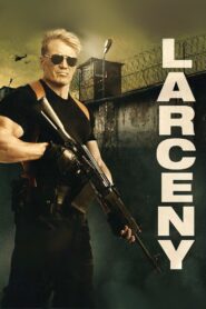Larceny 2017 one on netflix