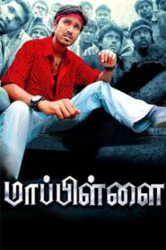 Mappillai 2011 one on netflix