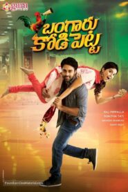 Bangaru Kodipetta 2014 one on netflix
