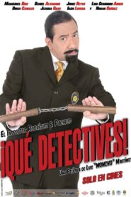 Que Detectives 2012 one on netflix