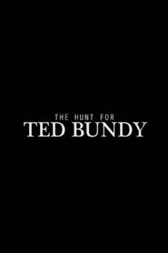 The Hunt for Ted Bundy 2015 one on netflix