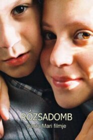 Rosehill 2003 one on netflix