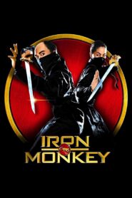 Iron Monkey 1993 one on netflix