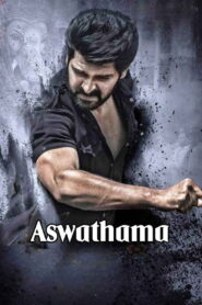Aswathama 2020 one on netflix