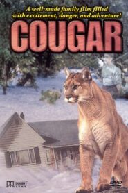 Cougar 1984 one on netflix