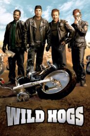 Wild Hogs 2007 one on netflix