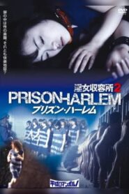 Injo Shuuyoujo 2: Prison Harlem 2010 one on netflix