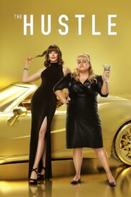 The Hustle 2019 one on netflix