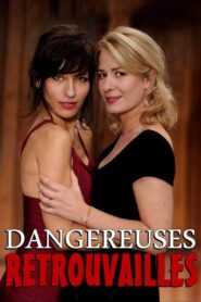 Dangereuses retrouvailles 2013 one on netflix