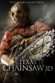 Texas Chainsaw 3D 2013 one on netflix