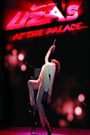 Liza Minnelli: Liza’s at The Palace 2009 one on netflix