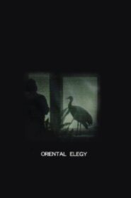 Oriental Elegy 1996 one on netflix