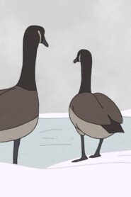Hudson Geese 2020 one on netflix
