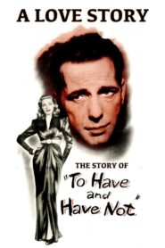 A Love Story: The Story of ‘To Have and Have Not’ 2003 one on netflix