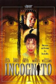 Incognito 1999 one on netflix