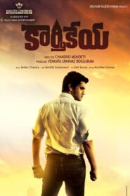 Karthikeya 2014 one on netflix