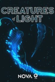 Creatures of Light 2015 one on netflix