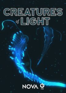 Creatures of Light 2015 one on netflix