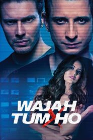Wajah Tum Ho 2016 one on netflix