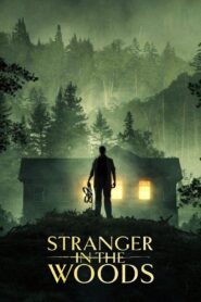 Stranger in the Woods 2024 one on netflix