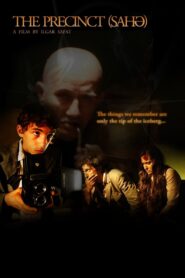 The Precinct 2010 one on netflix