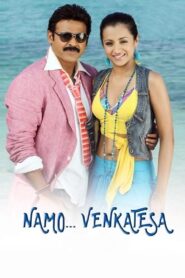 Namo Venkatesa 2010 one on netflix