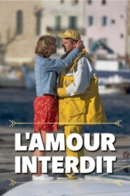 L’amour interdit 2002 one on netflix