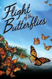 Flight of the Butterflies 2012 one on netflix
