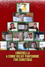 Cinderella: A Comic Relief Pantomime for Christmas 2020 one on netflix