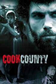 Cook County 2009 one on netflix