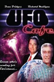 Guess Who’s Coming for Christmas? 1990 one on netflix