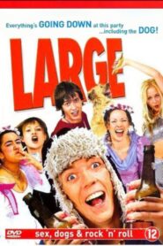 Large 2001 one on netflix