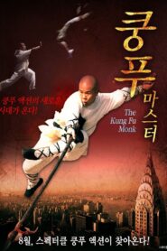 The Last Kung Fu Monk 2010 one on netflix