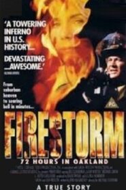 Firestorm: 72 Hours in Oakland 1993 one on netflix