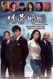 经营婚姻 2012 one on netflix