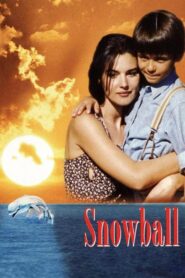 Snowball 1995 one on netflix