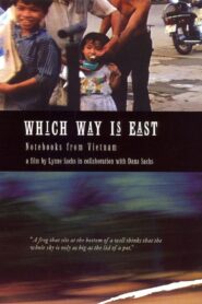 Which Way Is East: Notebooks from Vietnam 1994 one on netflix