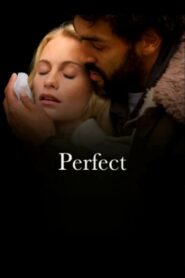 Perfect 2009 one on netflix