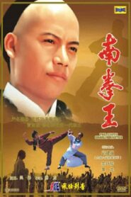 The South Shaolin Master 1984 one on netflix