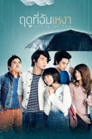Love in the Rain 2013 one on netflix