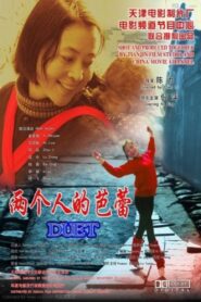 Ballet of Two Dancers 2005 one on netflix