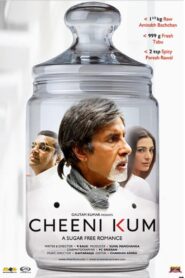 Cheeni Kum 2007 one on netflix