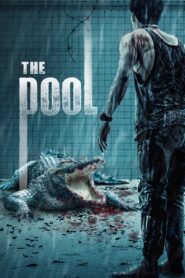 The Pool 2018 one on netflix